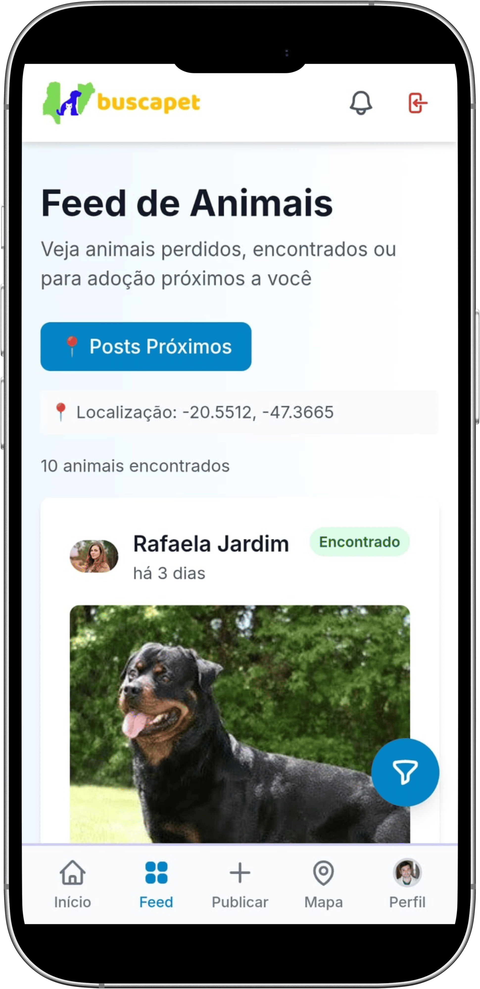 Feed de animais