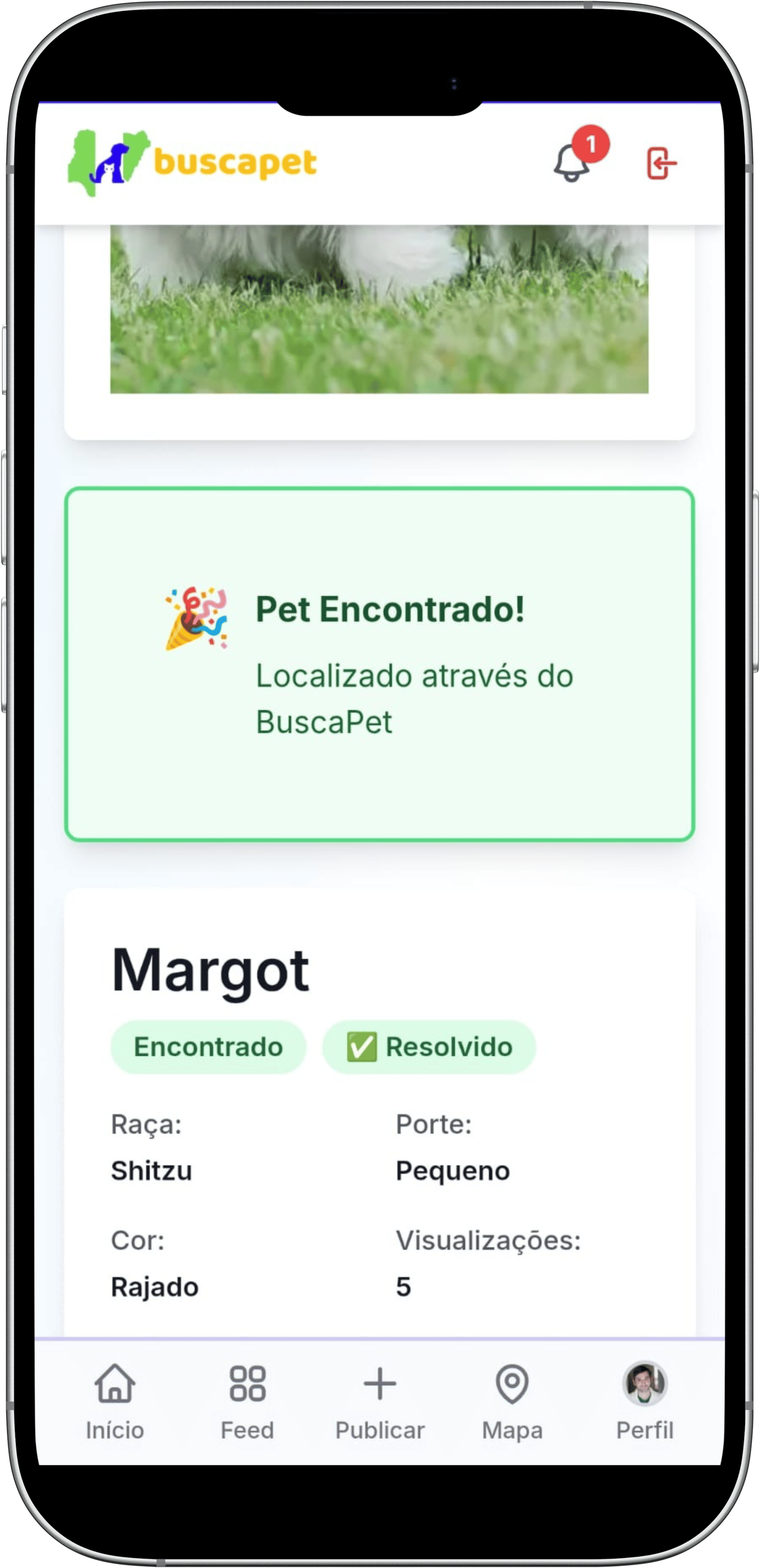 Informação de pet encontrado